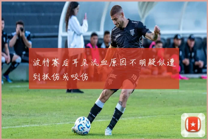 波特赛后耳朵流血原因不明疑似遭到抓伤或咬伤